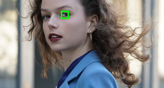 Eye Recognition